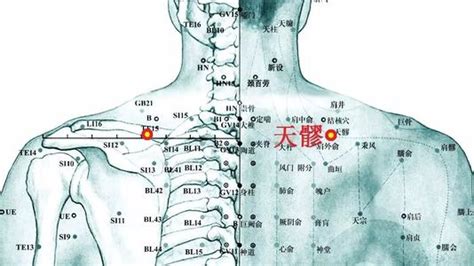 天竅穴位置|天髎穴位置 